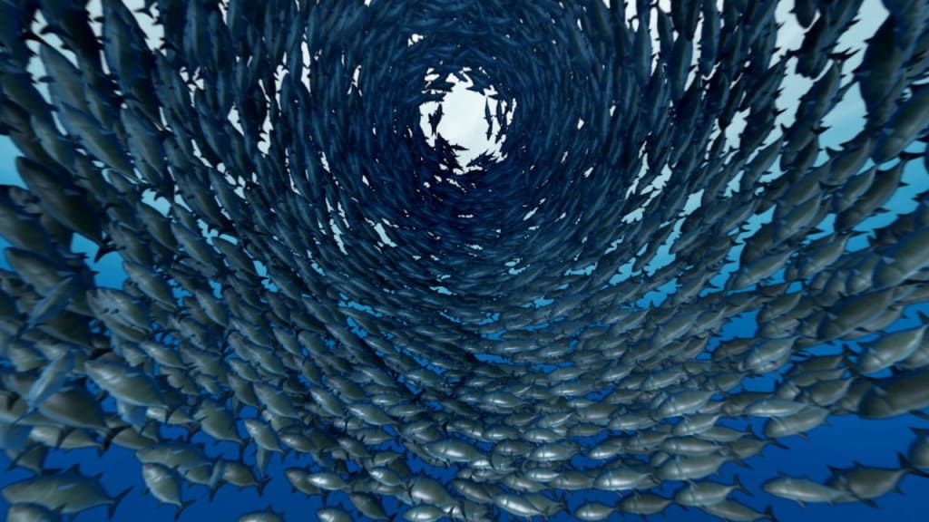 dietetica china-elemento agua-pescado azul-acupuntura catarroja