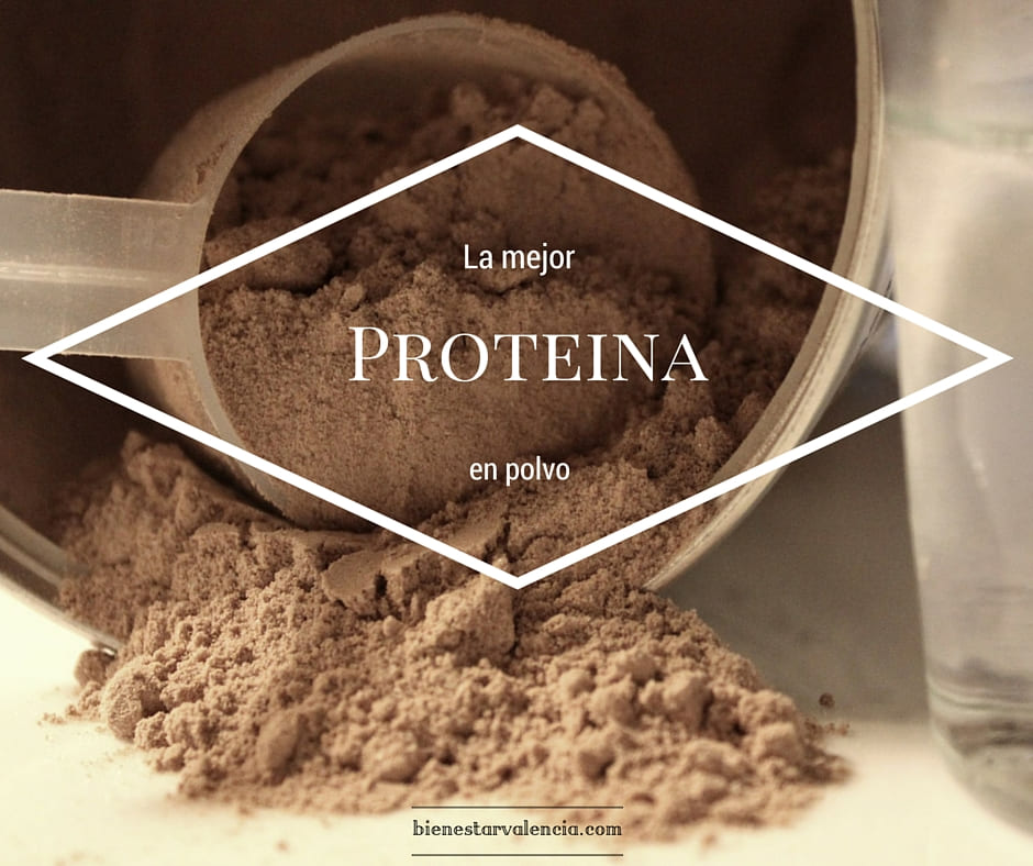 cual es la mejor proteina