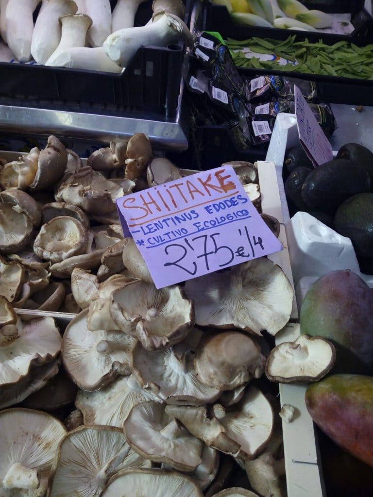 shiitake-mercado-central-valencia