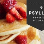 Beneficios del Psyllium y receta Tortitas