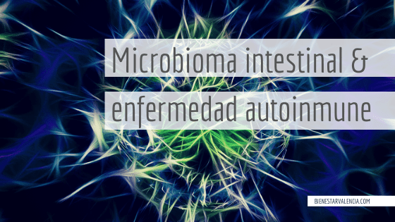 flora intestinal - autoinmunidad