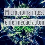 flora intestinal - autoinmunidad