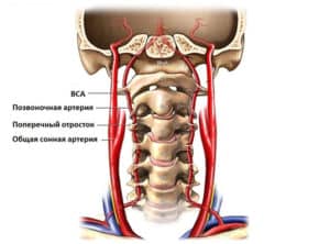 diagnóstico y tratamiento de arterias