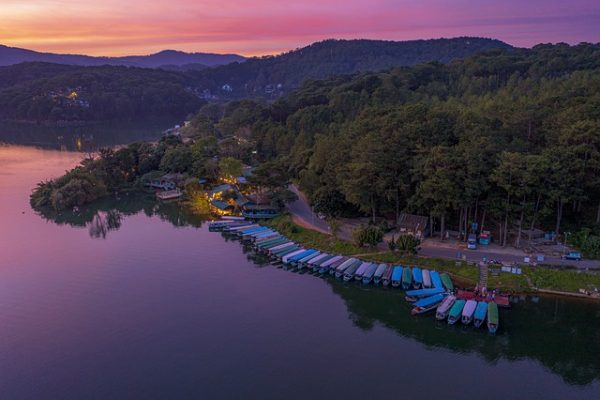 1. ¿Qué es el sushi de jengibre y por qué es tan popular?