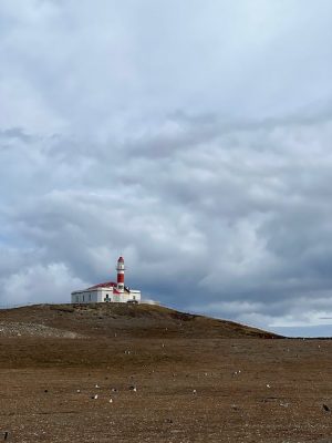 Magdalenas de espelta