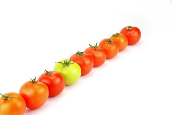 1. ¿Qué son los arándanos rojos secos?