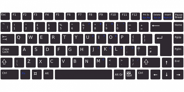 Aporte nutricional frutos secos