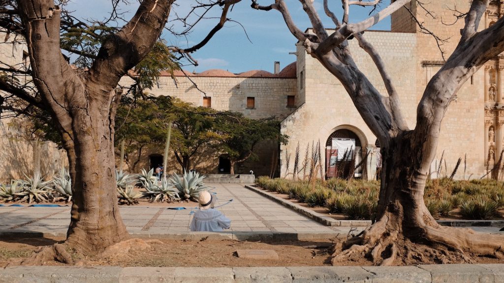Recetas galletas de jengibre