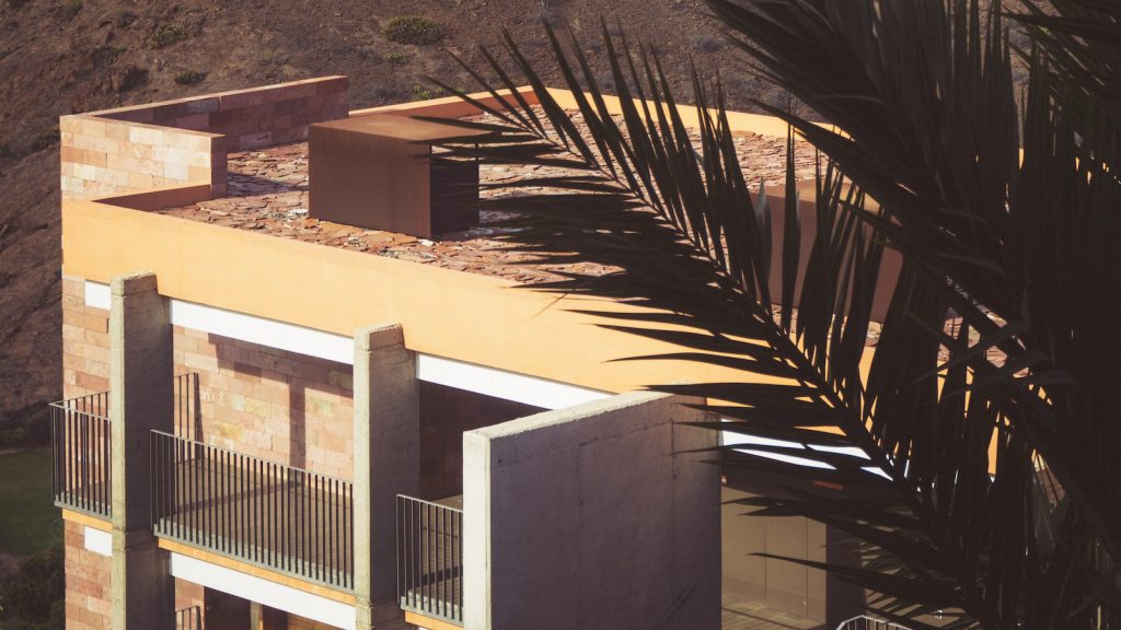 Alubia amarilla canaria recetas