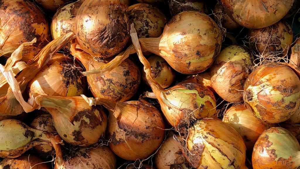 Aro de cebolla receta