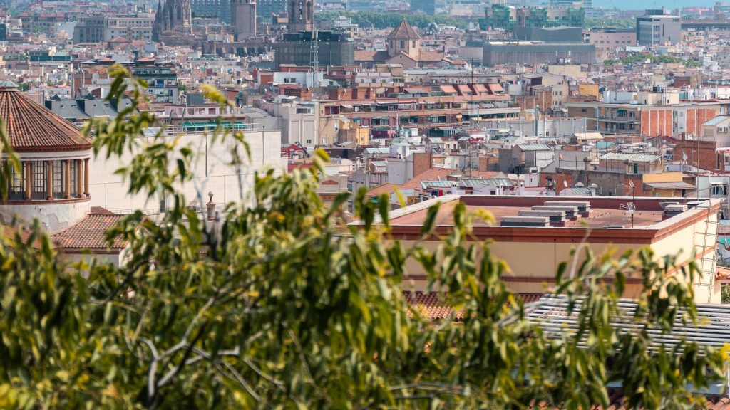 Arroz brillante tiempo cocción