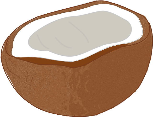 Uso del coco