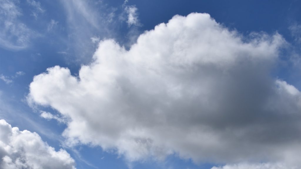 Harina avena integral