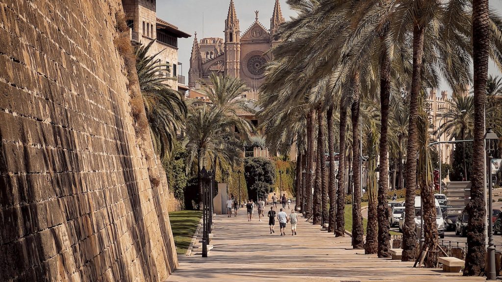 Vinagre de arroz sustituto