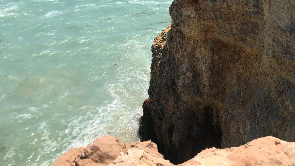 Propiedades del te rojo y contraindicaciones