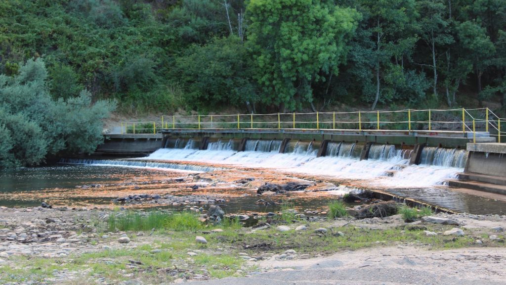 Almidon de tapioca para que sirve