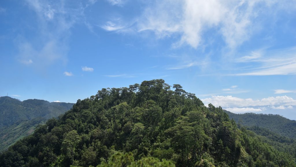 A que hora tomar levadura de cerveza