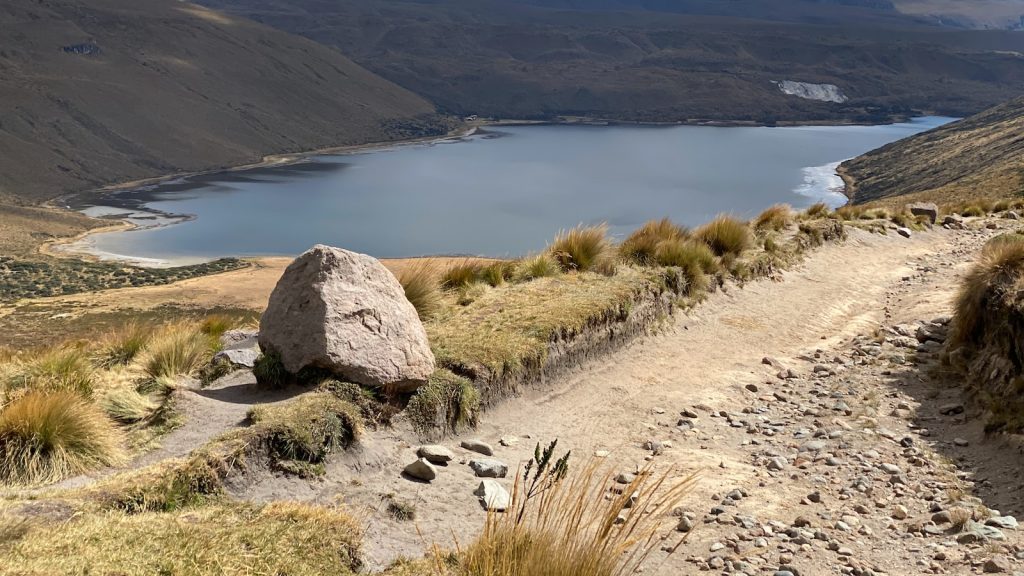 Agave edulcorante natural