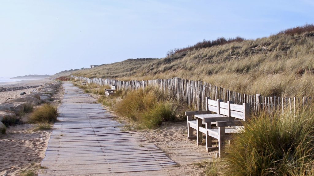 Receta de bolitas de coco fácil