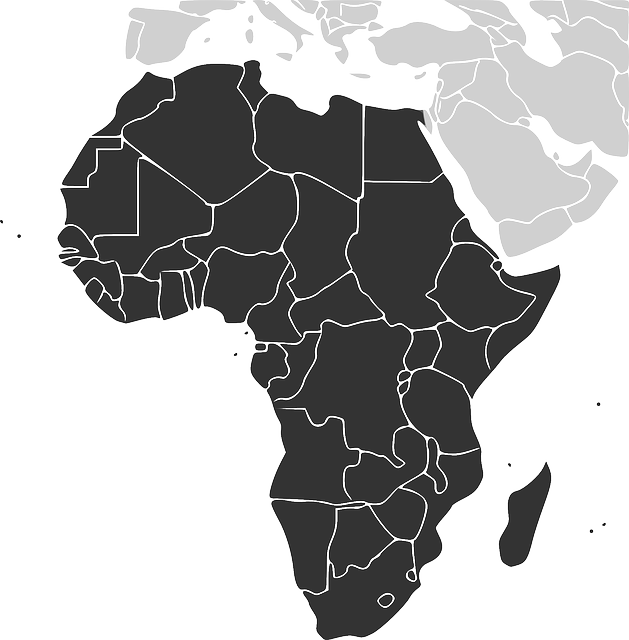 Mono de madagascar