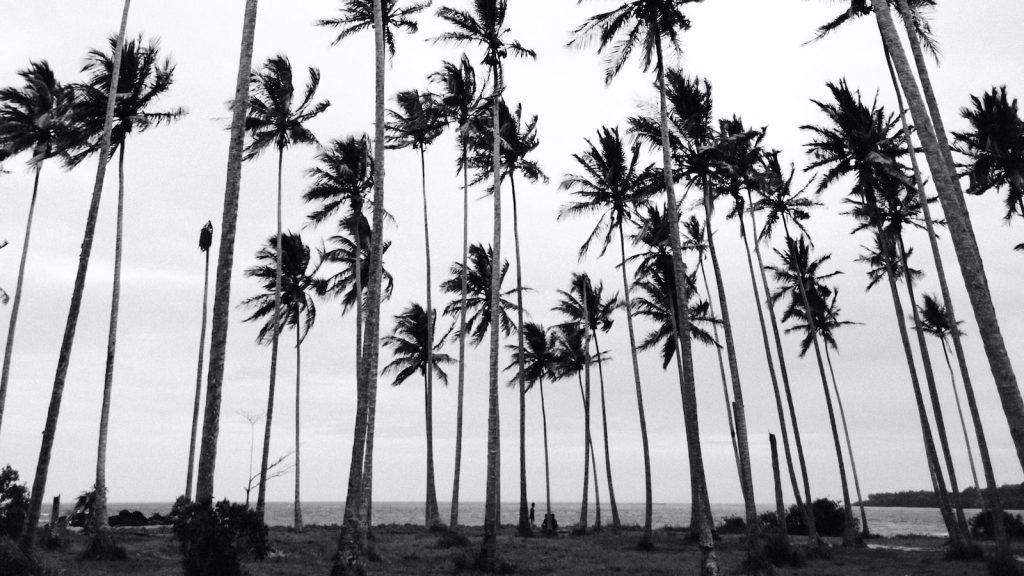Panellets de coco y chocolate