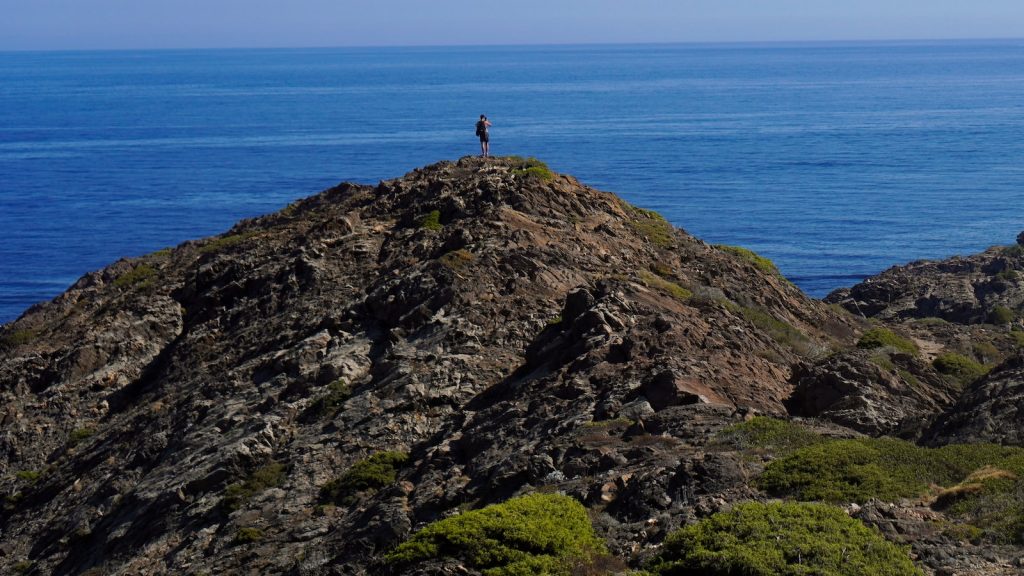 Almidon de tapioca que es