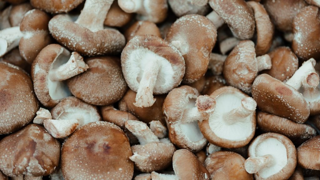 Propiedades del shitake