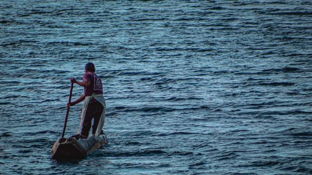 Rebozar aros de cebolla