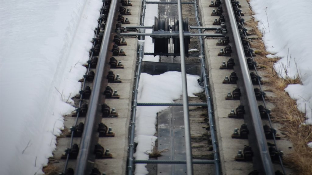 Sustituir azúcar por stevia en repostería