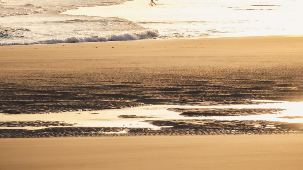 Receta tortitas de calabacin