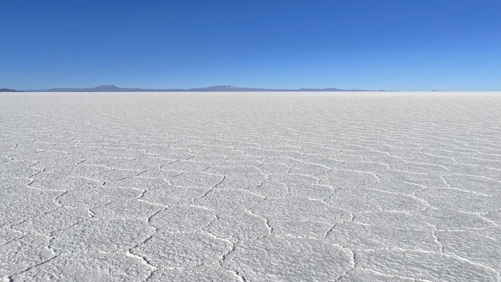 Miel de aguacate propiedades