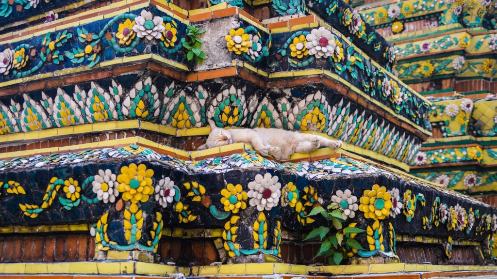 Que es el arroz thai