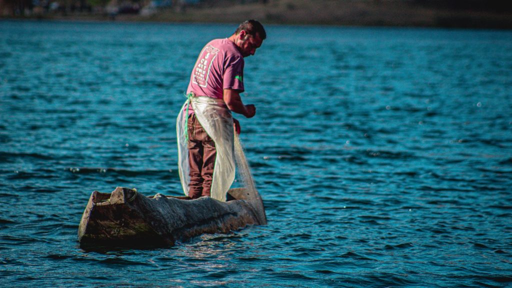 Magdalenas con harina de espelta