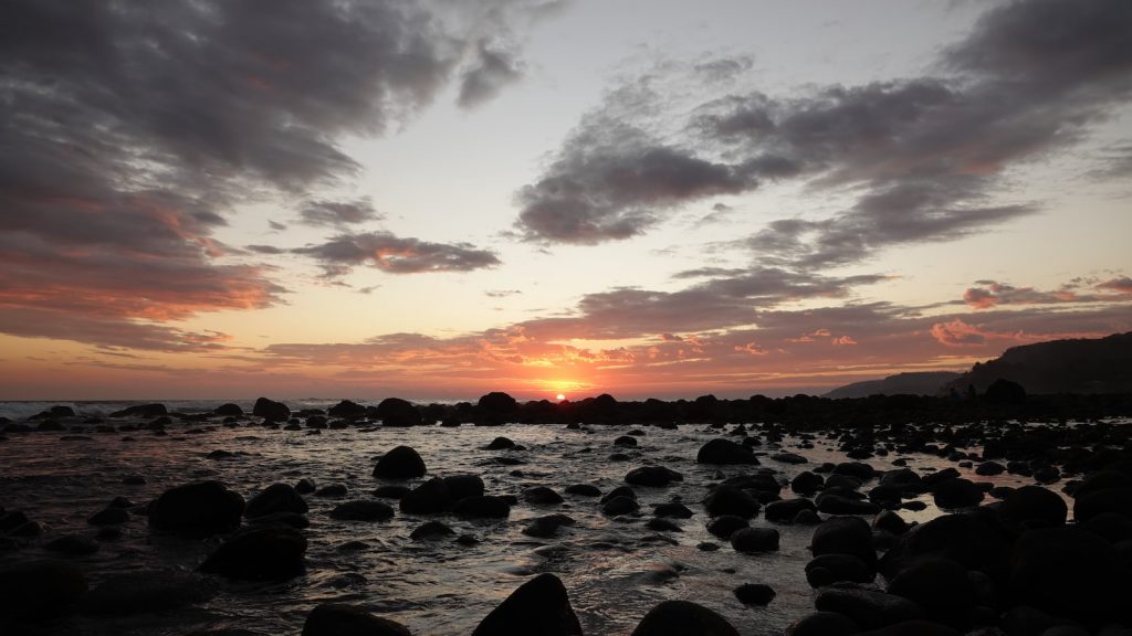 A que sabe el propoleo