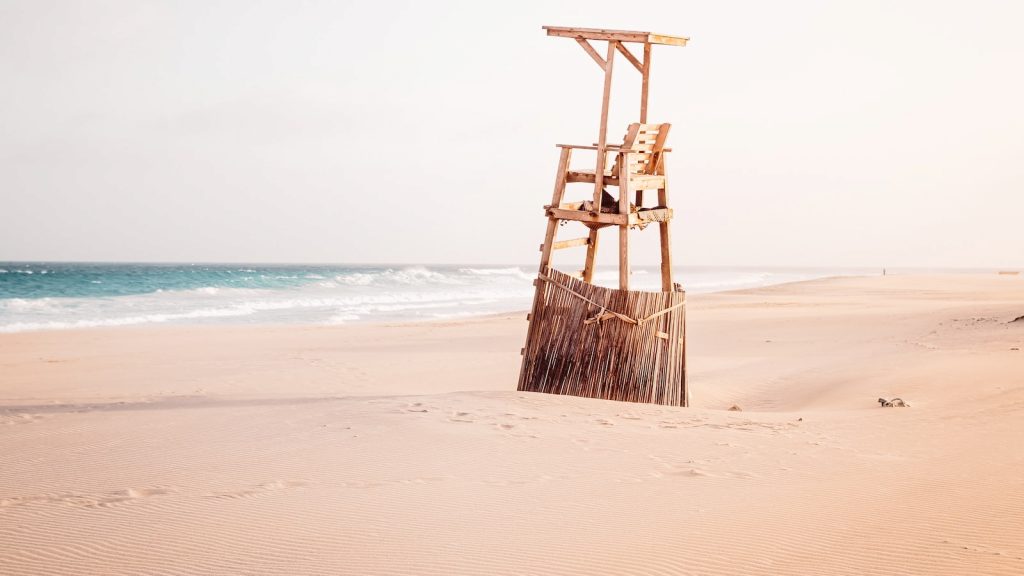 Té verde con miel de manuka