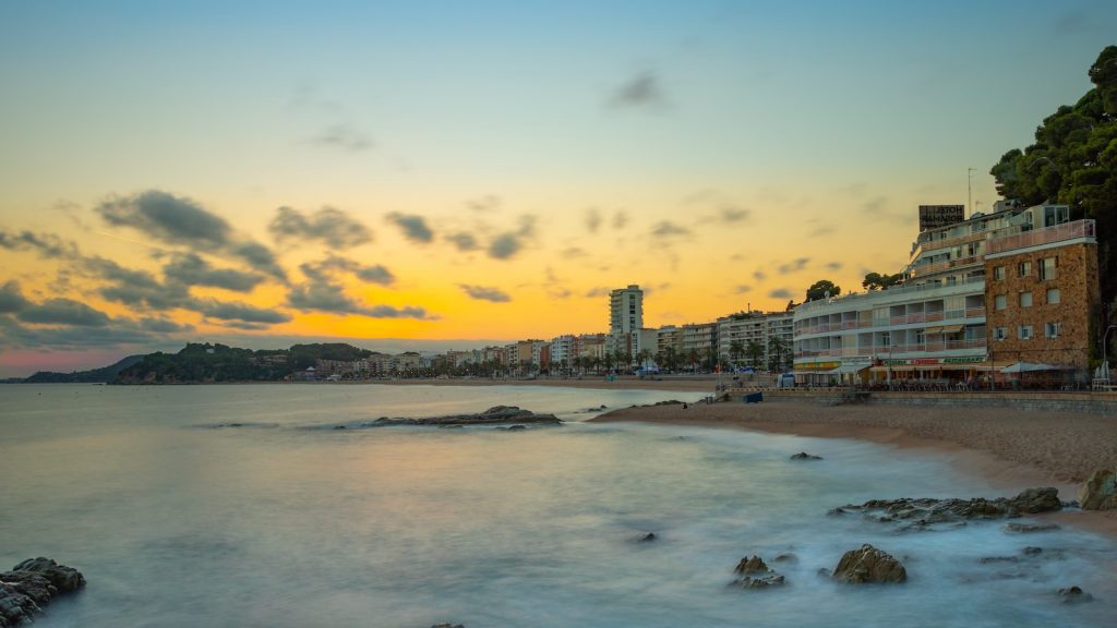 Salsa de soja sin azúcar