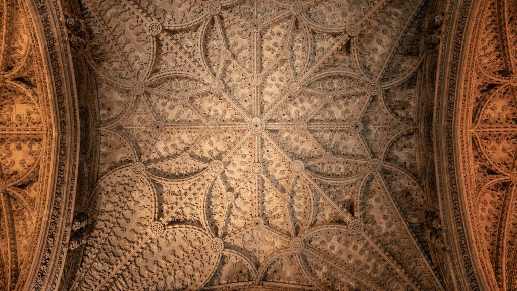 Beneficios bayas de goji