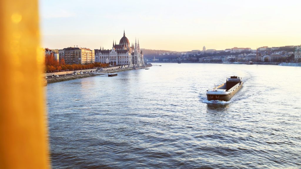 Despertar de buda maca y vainilla
