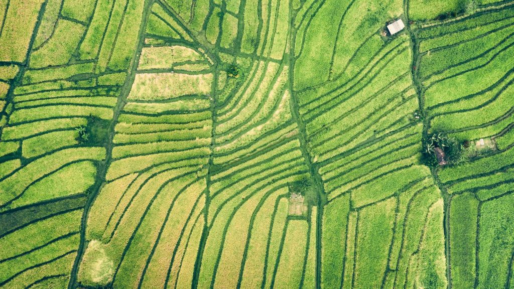 Cuscús integral tiempo cocción