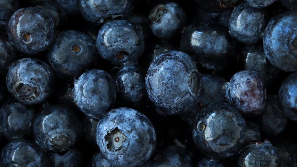 Arandanos para la memoria