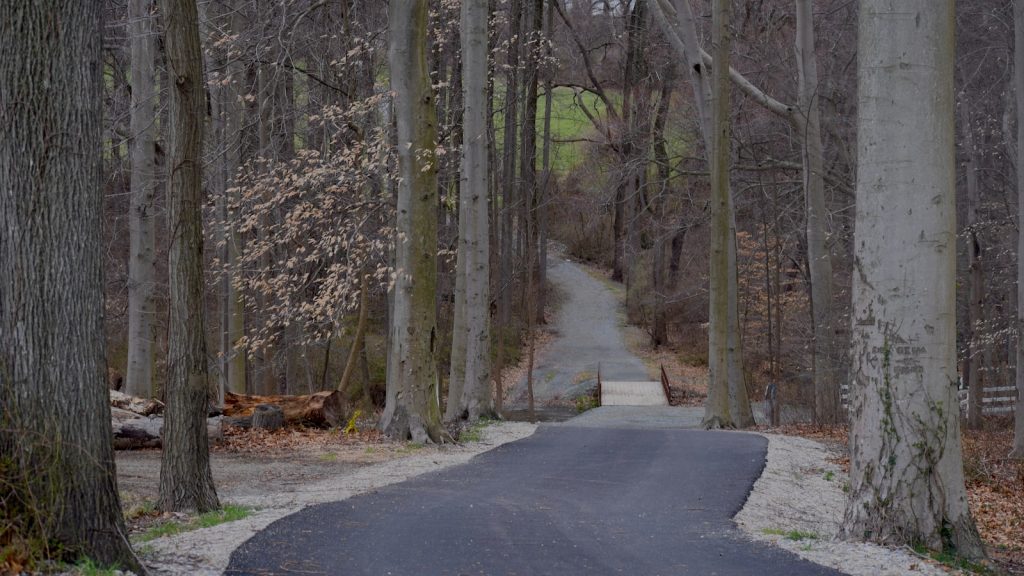Harina de fuerza para roscon de reyes