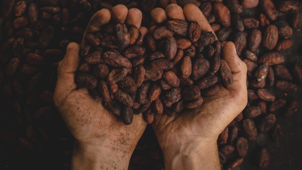 Panellets de cacao