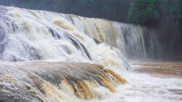 Agua de hibisco beneficios