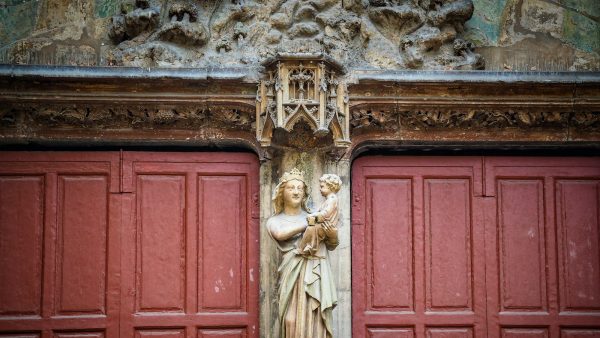 Leche vegetal en polvo