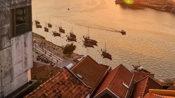 Pimienta de jamaica para adelgazar