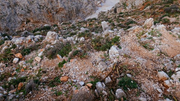 Recetas con seitan faciles