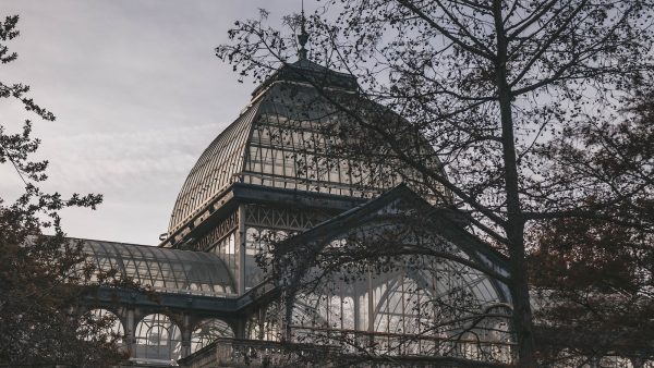 Harina de garbanzo para rebozar pescado