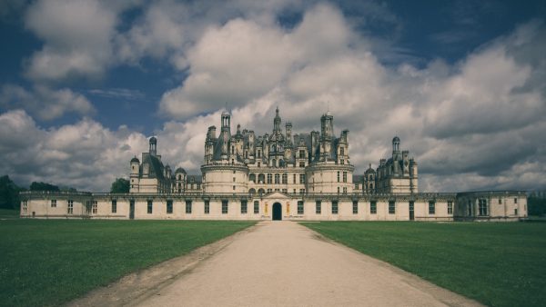 Plantilla tarta de santiago