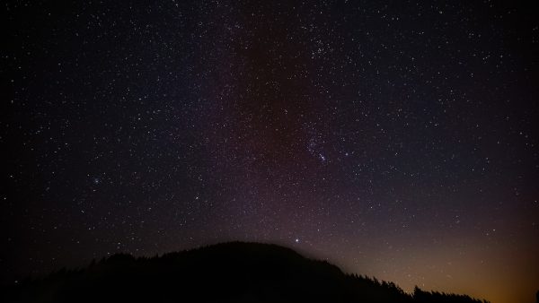 Arroz en ensalada de verano