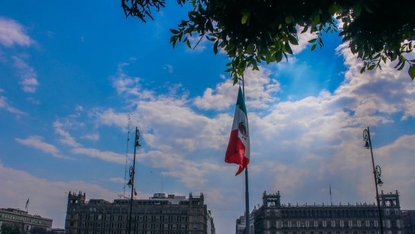 Receta bizcocho mona de pascua